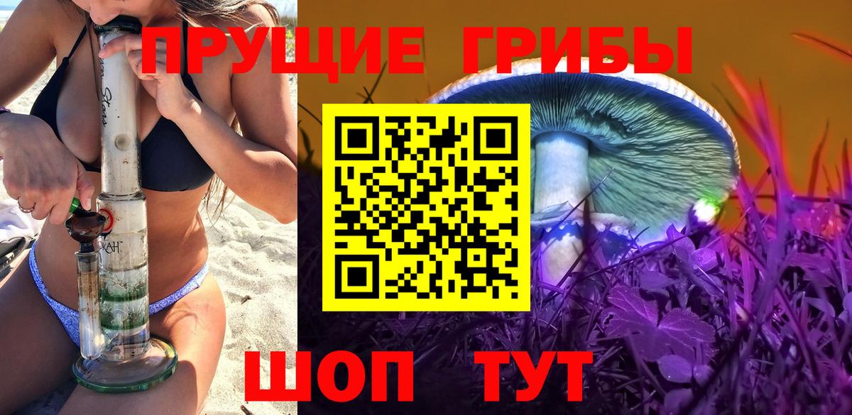 Псилоцибиновые грибы Cubensis  Псилоцибиновые грибы Cubensis  Вход с VPN  Воткинск 